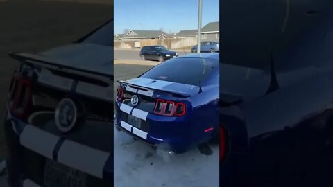 Shelby Mustang and Dodge....Power Performance ...#viral #shorts