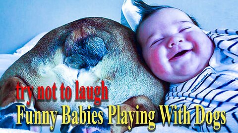 .. try not to laugh .. Funny Babies Playing With Dogs ..