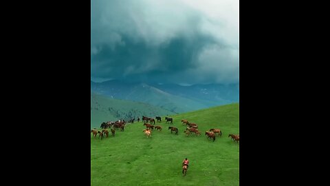Wonderful Kazakh Steppe