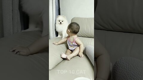 cute dog and baby