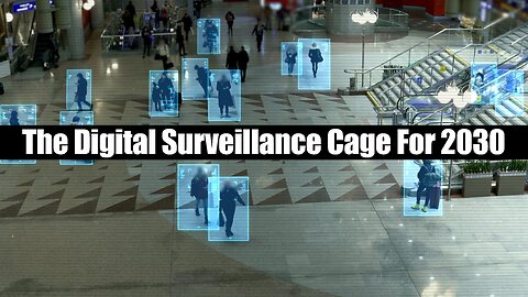 The Digital Surveillance Cage For 2030