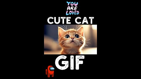 Cute Cat Gif