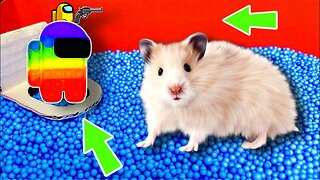 Hamster Escape: Among Us Maze - Cute Hamster pets Maze #hamsterescape #mazediytraps