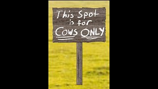 Cows Only!