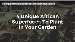 4 Unique African Superfoods To Plant In Your Garden