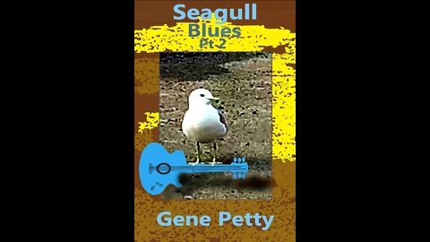 Seagull Blues Pt 3 By Gene Petty #Shorts