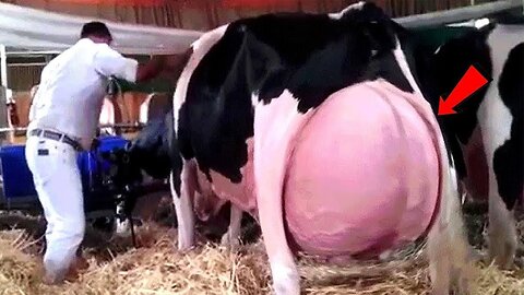 🔥🐄 Modern Dairy Tech: Automated Milking Robots 🤖 & Fastest Cattle Foot Trimming Process 🐮⚡