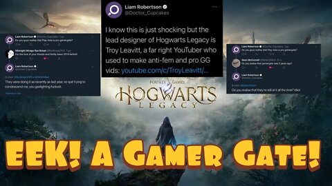 Hogwarts Legacy Lead Game Dev Leaves After Being Smeared & Cancelled