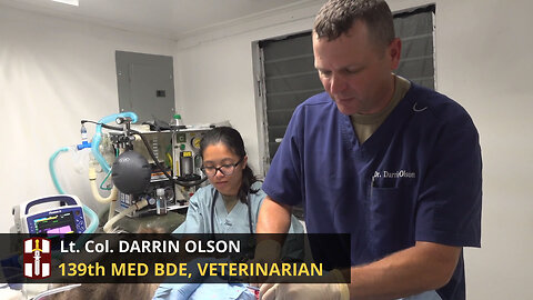 Veterinarian talks what it's like to serve