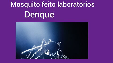 Mosquito modificado em laboratório no Brasil tem financiamento de bio gates