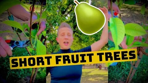 Easily reach 🍐🌰 trees 🌳 by using this technique! #video #viral #tiktok #diy