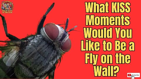 If You Could Be a Fly on the Wall at any KISS Moment, What Would it Be? #kiss #flyonthewall