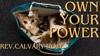 Cat's Outta The Bag! You Have A Higher Calling 😇 Powerful Psychic 🔥🦚💚✝ Calvary Catalyst