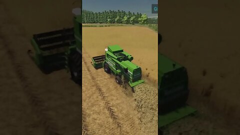 Fields Of Grain Farming Simulator 22 #shorts