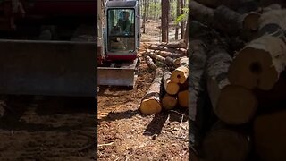 Mom using the EXCAVATOR!