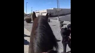 Cop Chases and Catches Suspect On Horseback