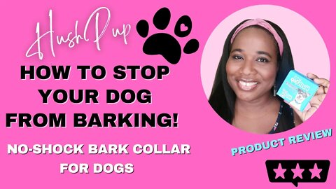 HOW TO STOP YOUR DOG FROM BARKING: NO-SHOCK BARK COLLAR REVIEW, HUSHPUP