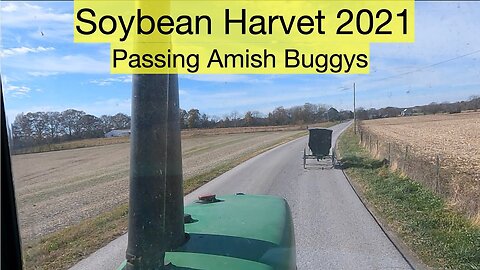 Soybean Harves 2021, Passing Amish Buggys