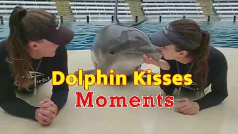 Dolphin Kisses Moments ||Dolphin ||Dolphin Playing with Girls