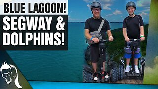 Blue Lagoon Bahamas | Segway and Dolphin Excursion!