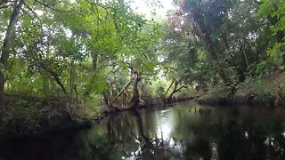 Imperial River kayaking