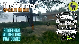 The Hunter: Call of the Wild, Something Wicked This Way Comes, Mississippi Acres (PS5 4K)