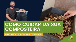 Como cuidar da composteira - Como trocar as caixas - | Minhocas Belo Horizonte