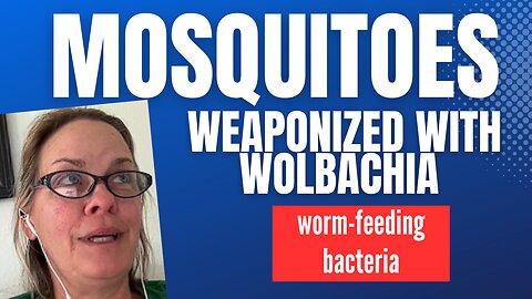 Mosquitoes Weaponized with Wolbachia, Worm-Feeding Bacteria