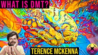 Tryptamine Hallucinogens and Their Effect on Consciousness - Terence McKenna