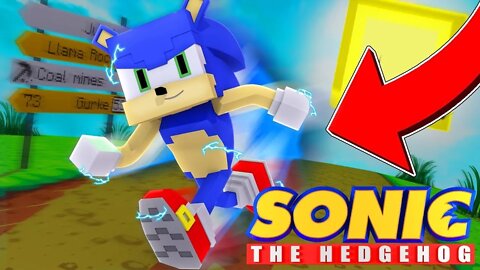 SONIC no MINECRAFT fora de CONTEXTO