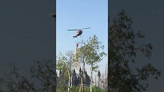 Water bomber fighting Forest fire