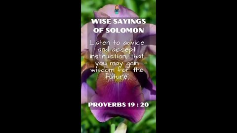 Proverbs 19:20 | NRSV Bible - Wise Sayings of Solomon