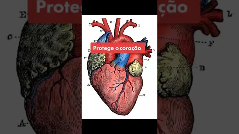 RECEITA FIT PARA EMAGRECER RÁPIDO E FÁCIL - Vídeo TikTok #Shorts