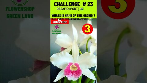 CHALLENGE # 23 |WHATS IS NAME OF THIS ORCHIDS?|YOU WANT TO LEARN? |# SHORT