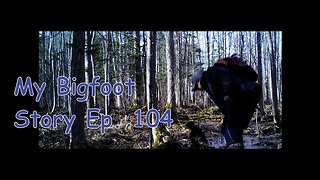 My Bigfoot Story Ep. 104 - Bigfoot Trail Cams Best Of Vol 1