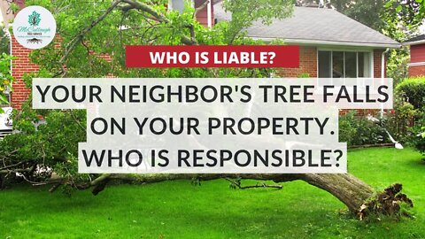 Who Is Responsible When a Neighbor’s Tree Falls in Your Yard?