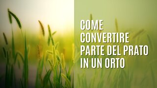 Come convertire parte del prato in un orto