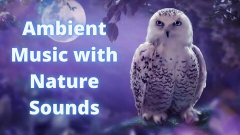 Beautiful Nature Sounds and Ambient Music for Yoga and Meditation