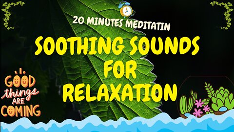 soothing river sounds - soothing relaxation - mindfulness meditation for anxiety