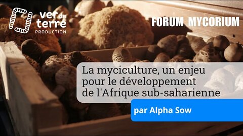 La myciculture, un enjeu pour le développement de l'Afrique sub-saharienne par Alpha Sow