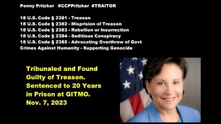 JAG Convicts Penny Pritzker to 20 years in Prison at GITMO