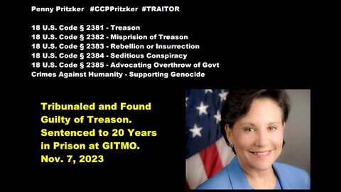 JAG Convicts Penny Pritzker to 20 years in Prison at GITMO