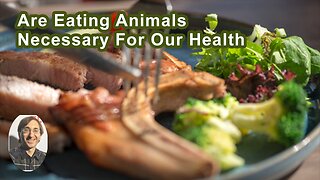 Are Eating Animals Necessary For Our Health?