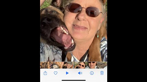 Woman mauled by sneak attack from Belgian Malinois dog.
