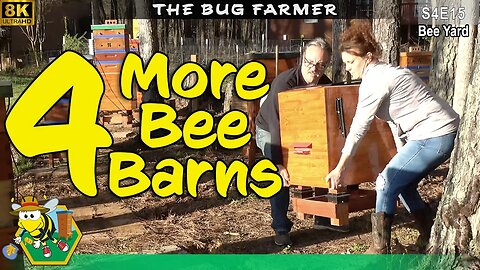 Bee Barns Everywhere | Installing four more Bee Barns #8K #Beebarn #beekeeping #insects