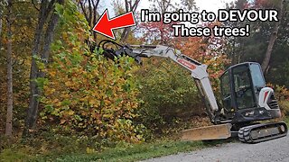 Transforming Chaos: Mini Excavator Conquers 15' Jungle with HD Brush Cutter