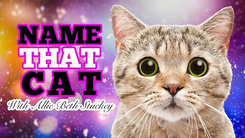 Podcast Highlight: Name That Cat With Allie Beth Stuckey
