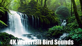 Ambient Waterfall Bird Sounds - Pacific Northwest | (AI) Audio Reactive Realistic | The Mist