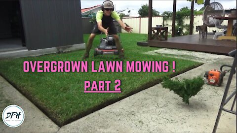 Overgrown Mowing Method // PART 2