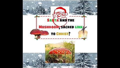 Santa, Jesus and The Mushroom: Planting A Seed In You?